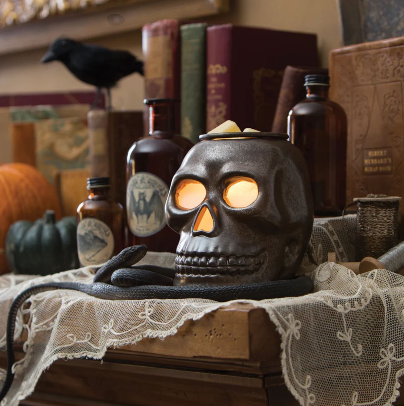 skull wax warmer starter set - the salty hive