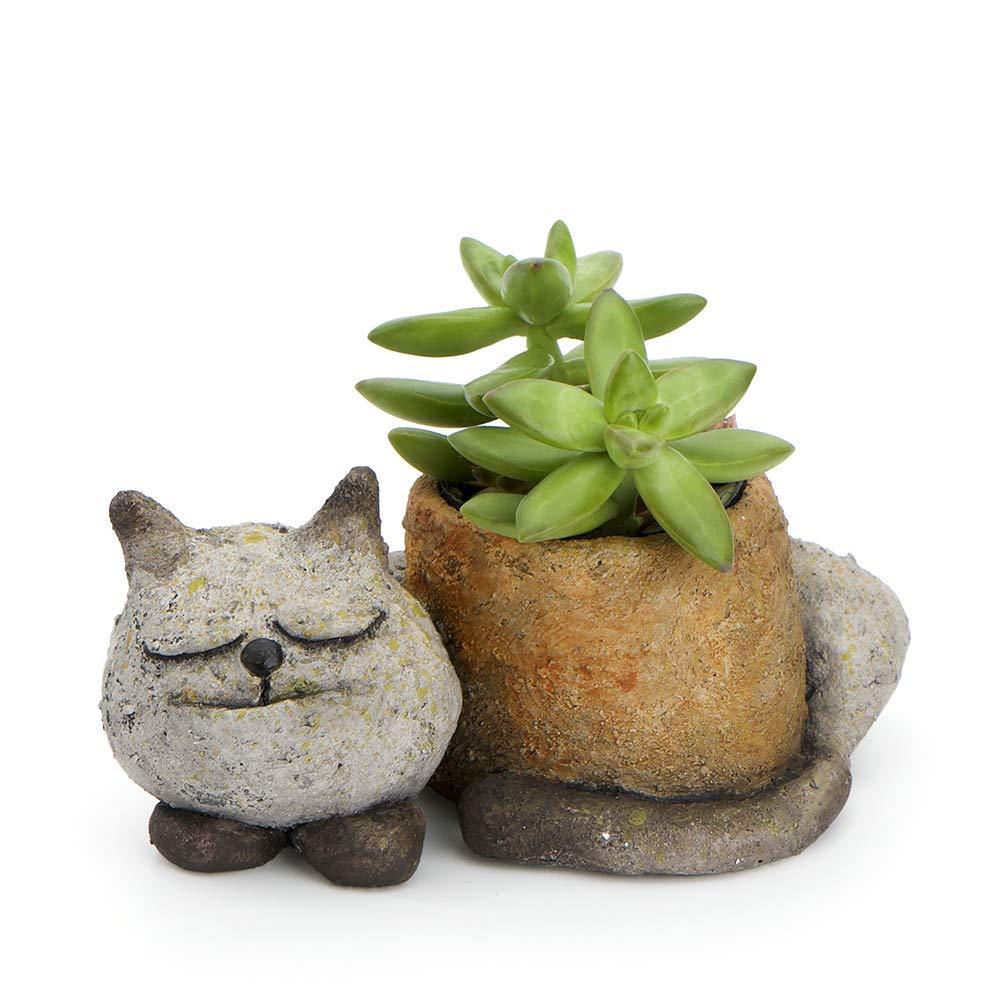 sleeping kitty cat desktop planter - the salty hive