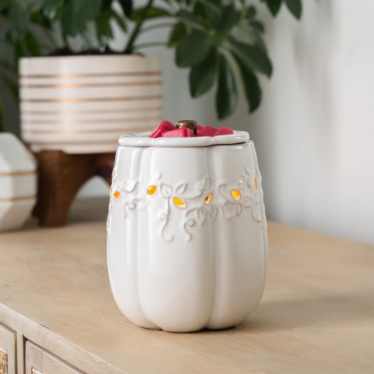 fall pumpkin wax warmer starter set - the salty hive