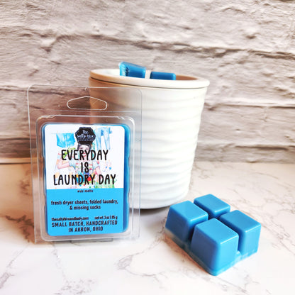 everyday is laundry day wax melts - the salty hive