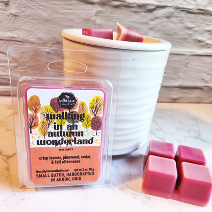 walking in an autumn wonderland wax melts - the salty hive