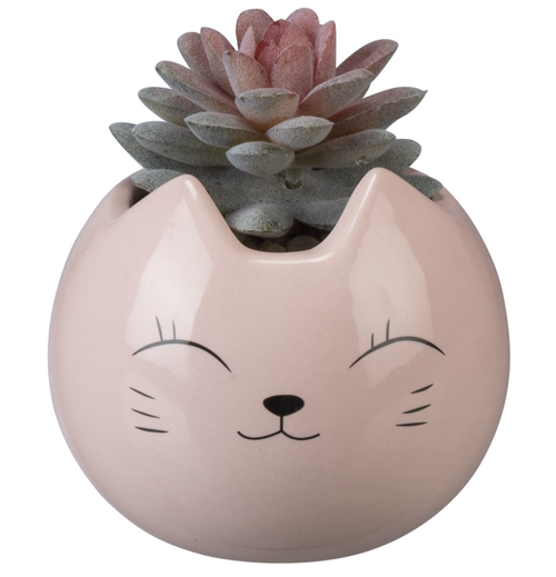 pink cat kawaii succulent - the salty hive